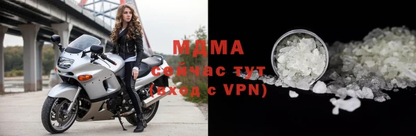 индика Алексин