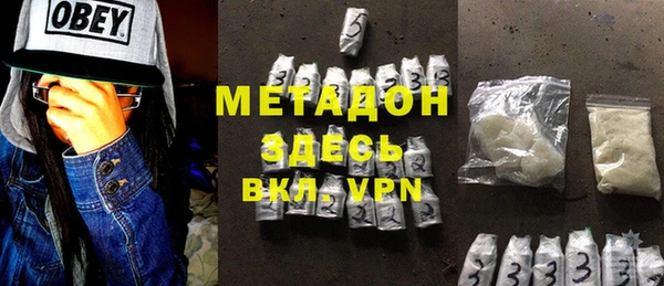индика Алексин