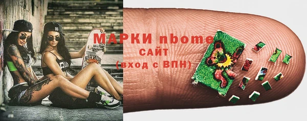 индика Алексин