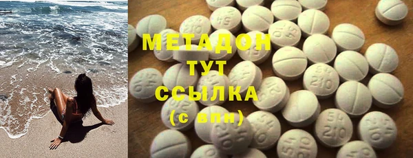 индика Алексин