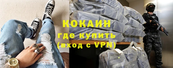индика Алексин