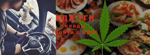 индика Алексин