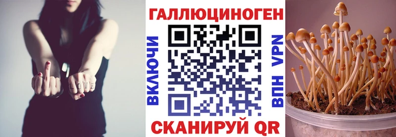 Псилоцибиновые грибы ЛСД  ОМГ ОМГ зеркало  Дыгулыбгей 